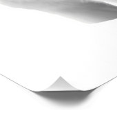 Drie witte wolven foto afdruk (Hoek)