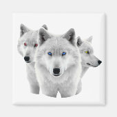 Drie witte wolven magneet (Voorkant)