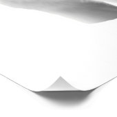 Drie witte wolven perfect poster (Hoek)