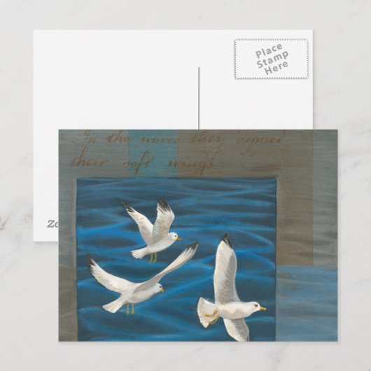 Drie witte zeegarren die over het water vliegen briefkaart (Voorkant / Achterkant)