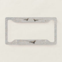 Drie woestijnluizen op Sidewalk