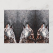 Drie Wolven Howling Briefkaart (Voorkant)