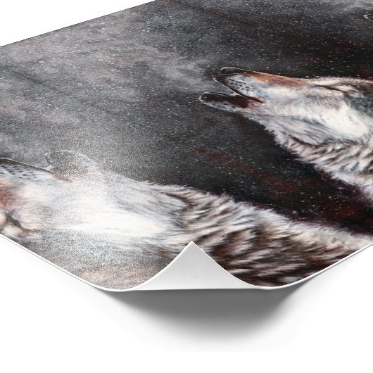 Drie Wolven Howling Foto Afdruk (Hoek)