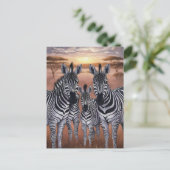 Drie zebra's grazen in weide briefkaart (Staand voorkant)