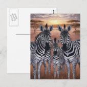 Drie zebra's grazen in weide briefkaart (Voorkant / Achterkant)