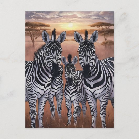 Drie zebra's grazen in weide briefkaart (Voorkant)