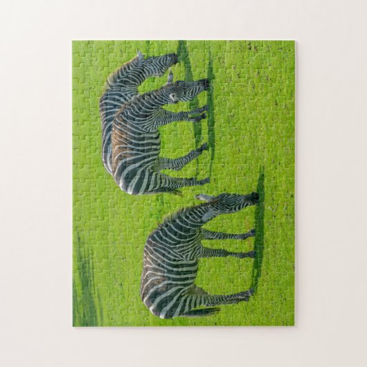 Drie zebra's legpuzzel (Verticaal)