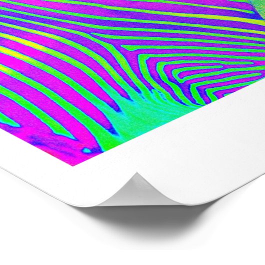 drie zebras poster (Hoek)