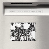 Drie zebra's schilderen magneet (Insitu (Vaatwasser))