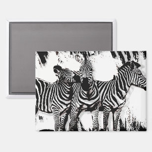 Drie zebra's schilderen magneet