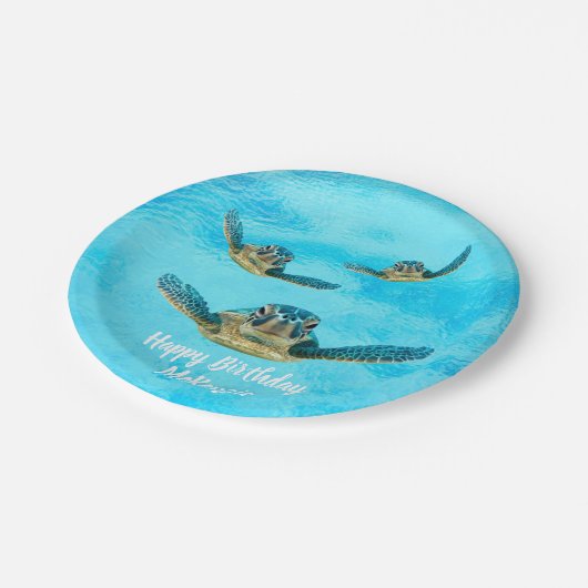 Drie Zee draaimolens Papieren Bordje (Gekanteld)