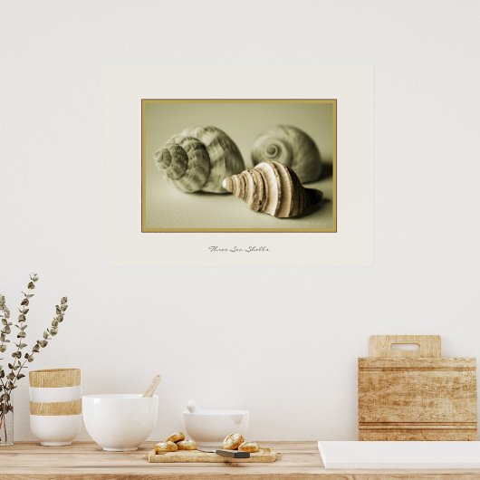 Drie zeedoppen ~ Fotografische afdruk Poster (Keuken)