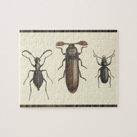 Drie Zij-aan-Zij Insecten Puzzel (Horizontaal)