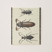 Drie Zij-aan-Zij Insecten Puzzel (Verticaal)