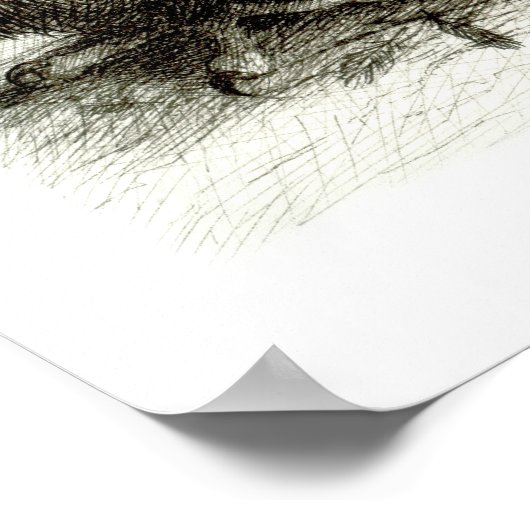 Drie zo Cute Baby Owls Poster (Hoek)