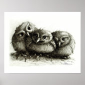 Drie zo Cute Baby Owls Poster (Voorkant)