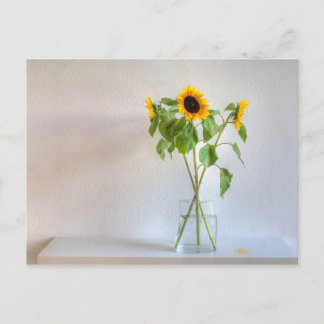 Drie zonnebloemen briefkaart