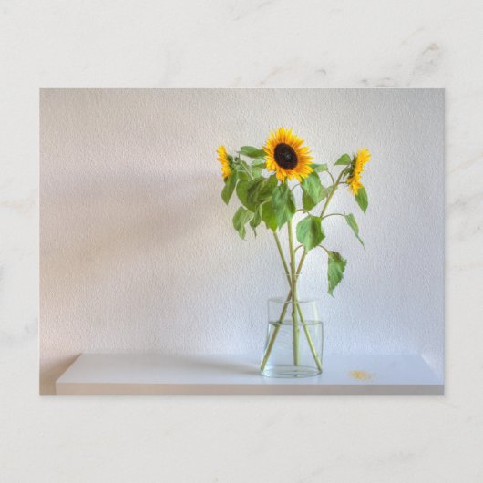 Drie zonnebloemen briefkaart (Voorkant)