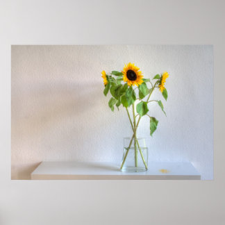 Drie zonnebloemen poster
