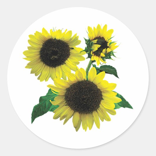 Drie zonnebloemen ronde sticker (Voorkant)