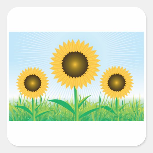 Drie zonnebloemen Sticker (Voorkant)