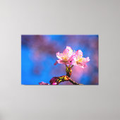 Drie zonovergoten kersenbloesems op een zonnige le canvas afdruk (Voorkant)