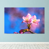 Drie zonovergoten kersenbloesems op een zonnige le canvas afdruk (Insitu (Houten vloer))