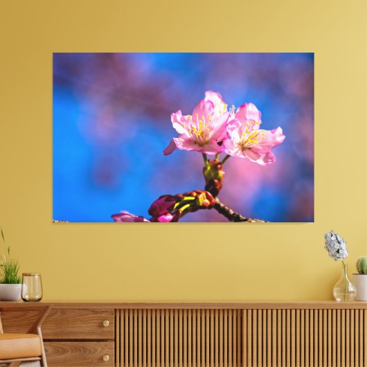 Drie zonovergoten kersenbloesems op een zonnige le canvas afdruk (Insitu (Woonkamer))