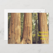 Drie zussen briefkaart (Voorkant / Achterkant)