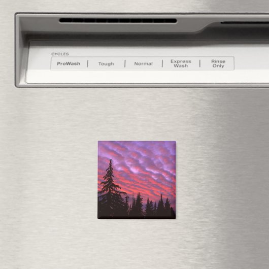 Drie zussen Wilderness, Oregon Magneet (Insitu (Vaatwasser))