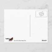 Drie zusters in Arches National Park Briefkaart (Achterkant)