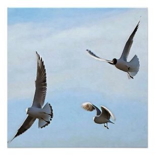 Drie zwarte gehelen van de Bosphorus-kunst Perfect Poster