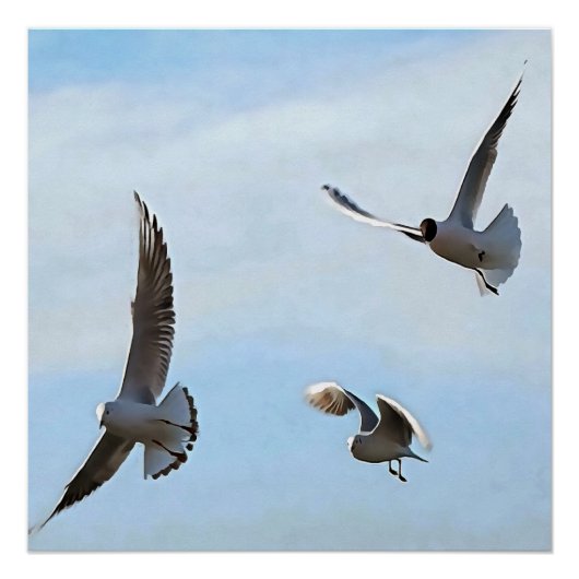 Drie zwarte gehelen van de Bosphorus-kunst Perfect Poster (Voorkant)