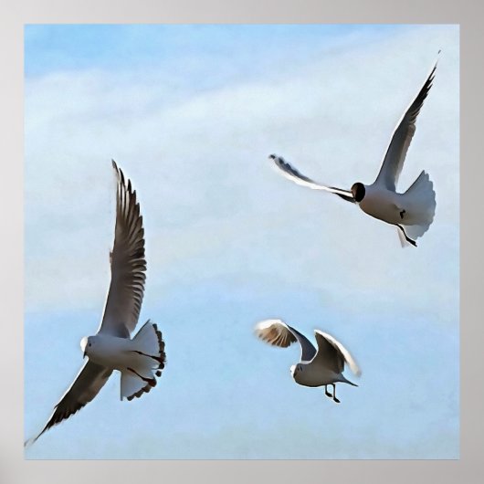 Drie zwarte gehelen van de Bosphorus-kunst Poster (Voorkant)