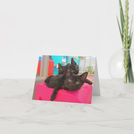Drie Zwarte Katjes Kaart (Voorkant)