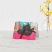 Drie Zwarte Katjes Kaart (Gele Bloem)