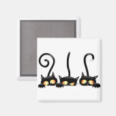 Drie zwarte katten magneet (Voorkant / Achterkant)