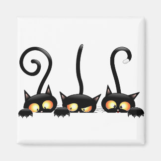 Drie zwarte katten magneet