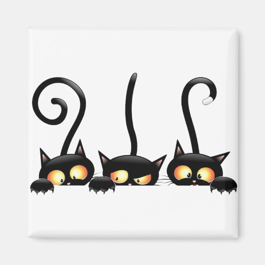 Drie zwarte katten magneet (Voorkant)