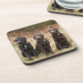 Drie zwarte labradors drankjes onderzetter (Linkerzijde)