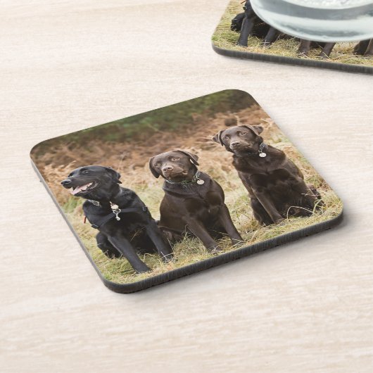 Drie zwarte labradors drankjes onderzetter (Linkerzijde)