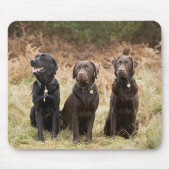 Drie zwarte labradors muismat (Voorkant)