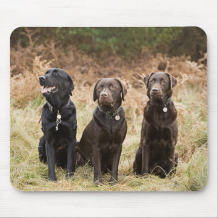 Drie zwarte labradors muismat
