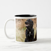 Drie zwarte labradors tweekleurige koffiemok (Links)