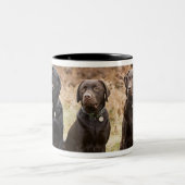 Drie zwarte labradors tweekleurige koffiemok (Center)
