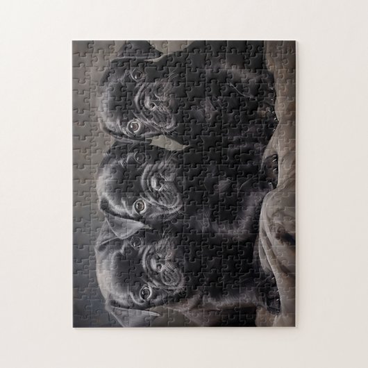 Drie zwarte Pug puppies Legpuzzel (Verticaal)