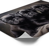 Drie zwarte Pug puppies Poster (Hoek)