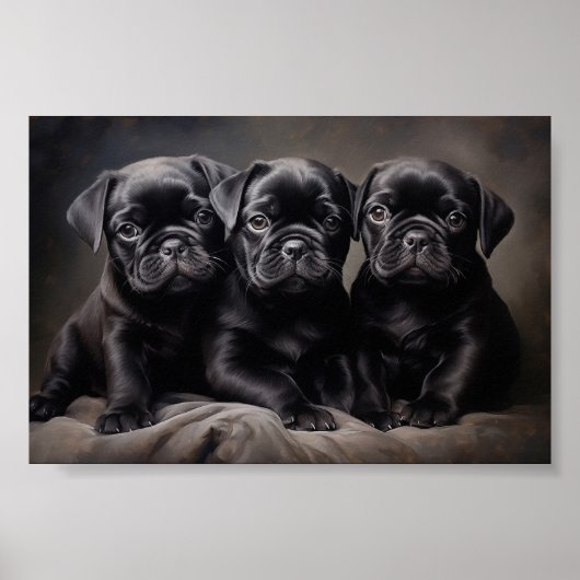 Drie zwarte Pug puppies Poster (Voorkant)