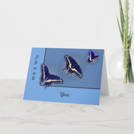Drie Zwarte Swallowtail Bedankkaart (Voorkant)