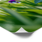 Driebloem Perfect Poster (Hoek)